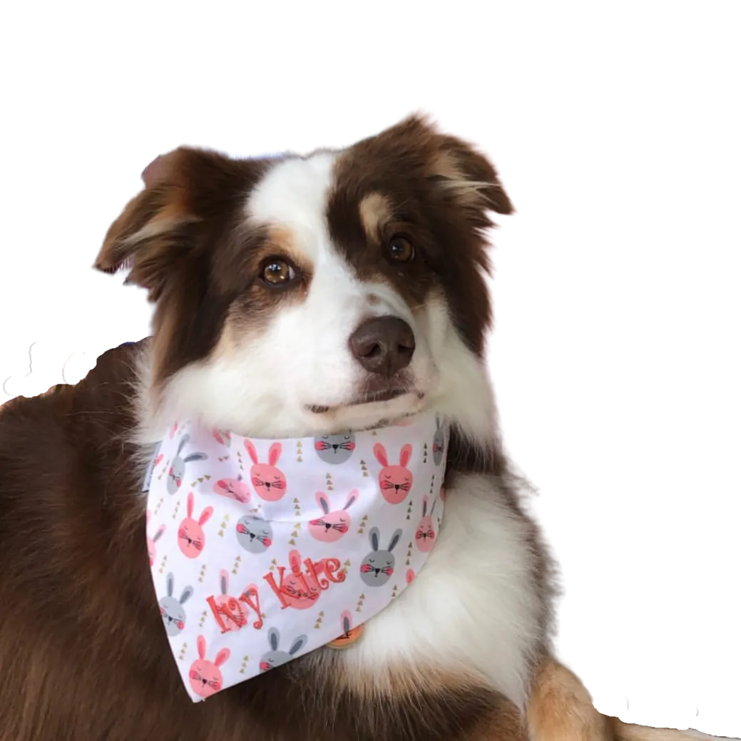 Easter Handmade Reversible Pet Bandanas