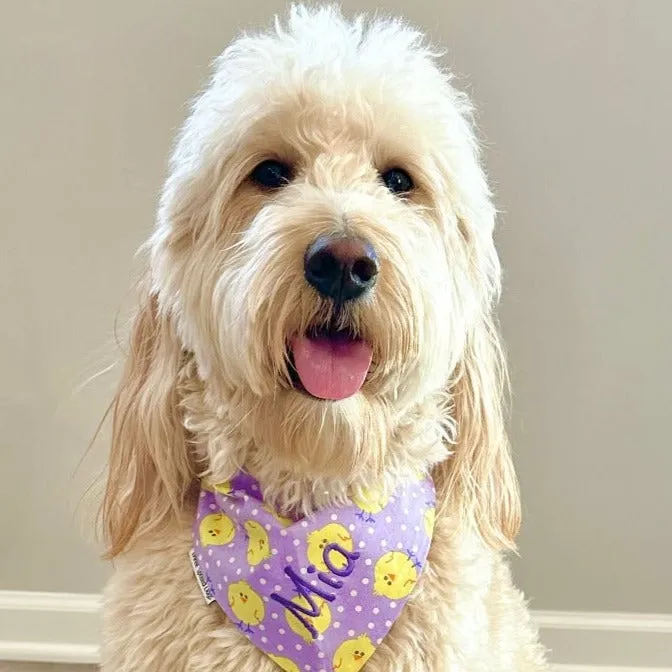 Easter Handmade Reversible Pet Bandanas