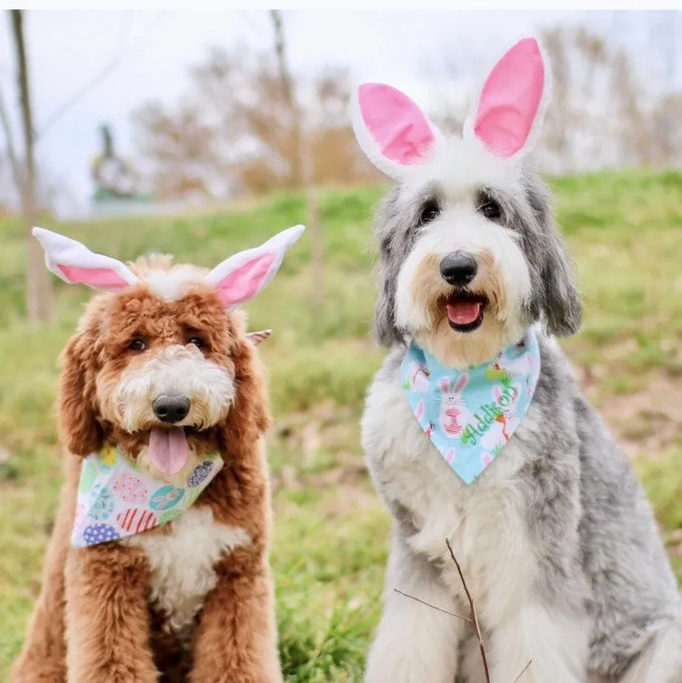 Easter Handmade Reversible Pet Bandanas