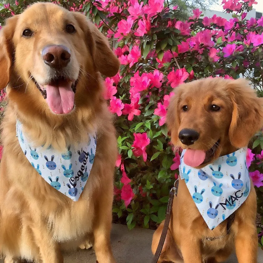 Easter Handmade Reversible Pet Bandanas