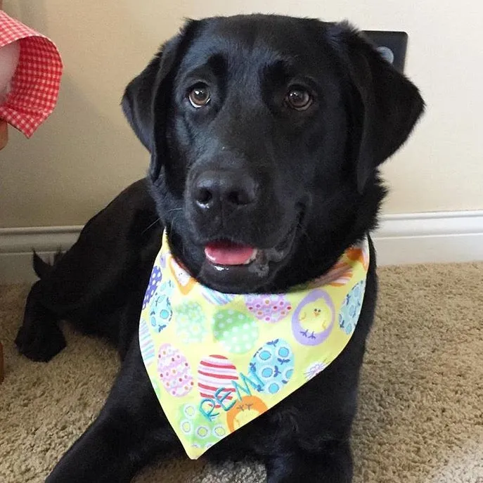 Easter Handmade Reversible Pet Bandanas