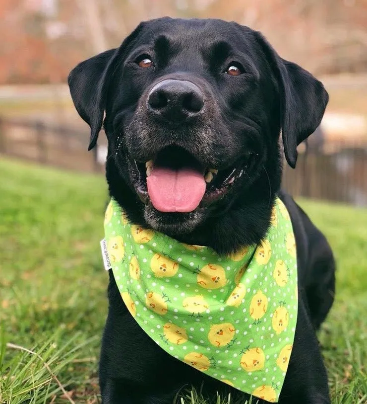 Easter Handmade Reversible Pet Bandanas