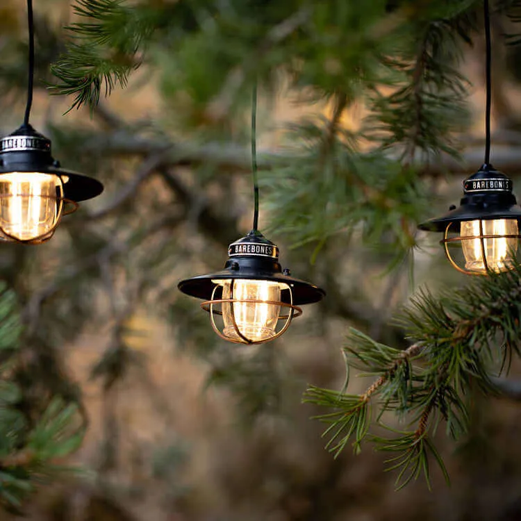 Edison String Light