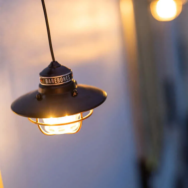 Edison String Light