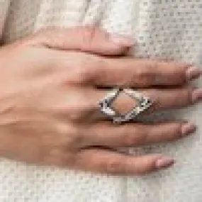 Paparazzi Accessories - Point Out The Obvious #SS-1219 - Fashion Fix Silver Ring December 2019